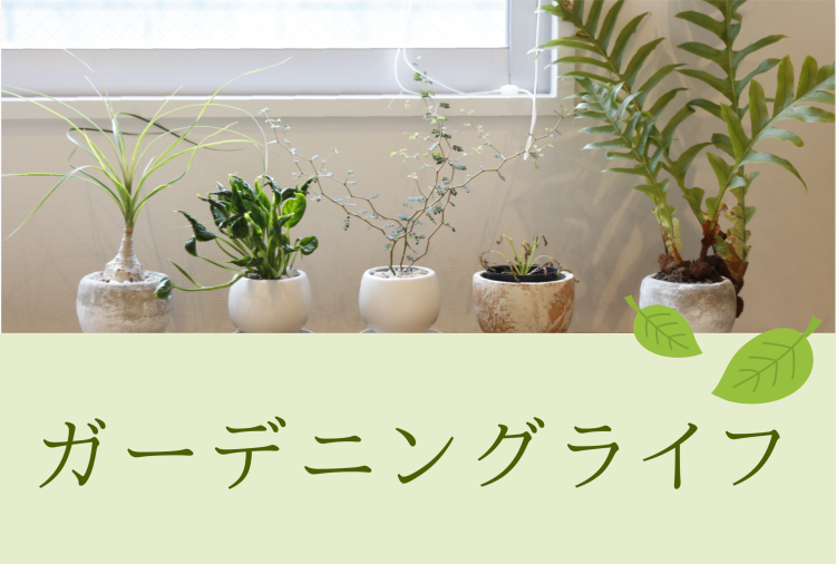 スイーツハンター